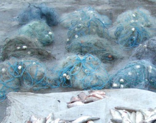 Dosar penal pentru plase de tip monofilament